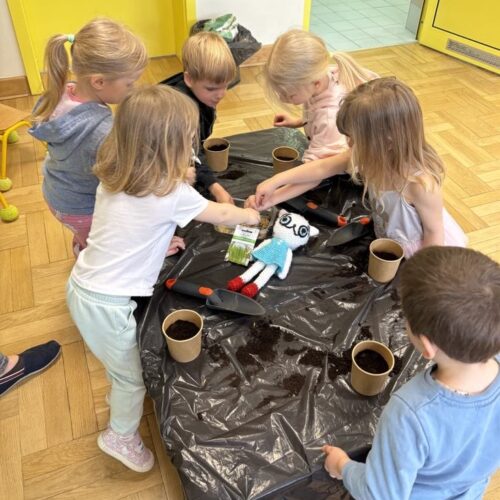 obraz-20250401-082241-e62a5b26