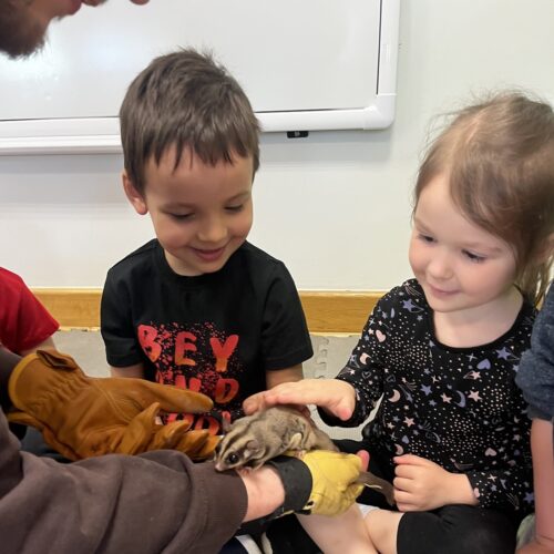 obraz-20250423-075149-983c42ce