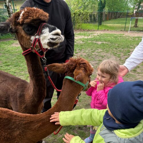 obraz-20250425-153109-122e5a72