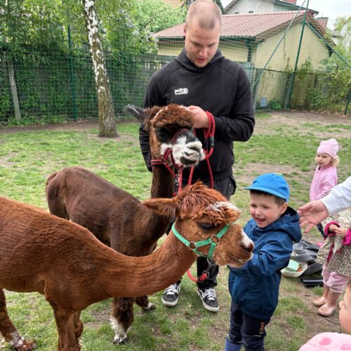 obraz-20250425-153109-bee9a0bc