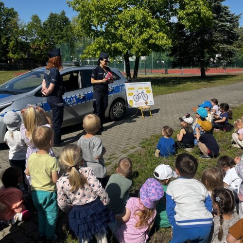 obraz-20250521-074707-8cd02ca0