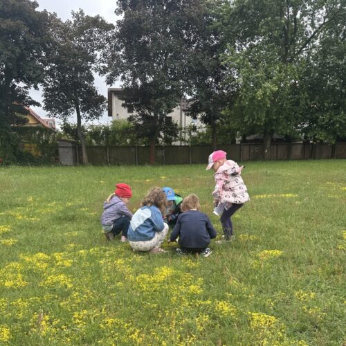 obraz-20250613-082606-3baac19b