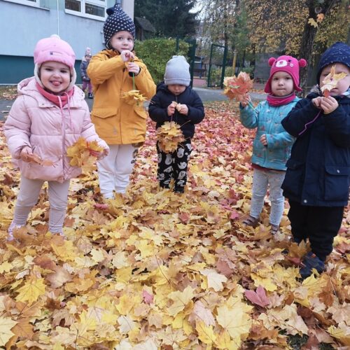 IMG_20251022_104353 — kopia