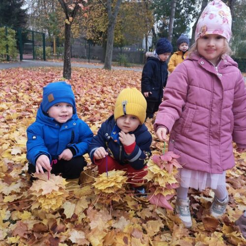 IMG_20251022_105726 — kopia