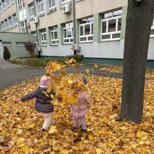 Messenger_creation_49C477BD-329C-42B3-8876-35070C19CB78