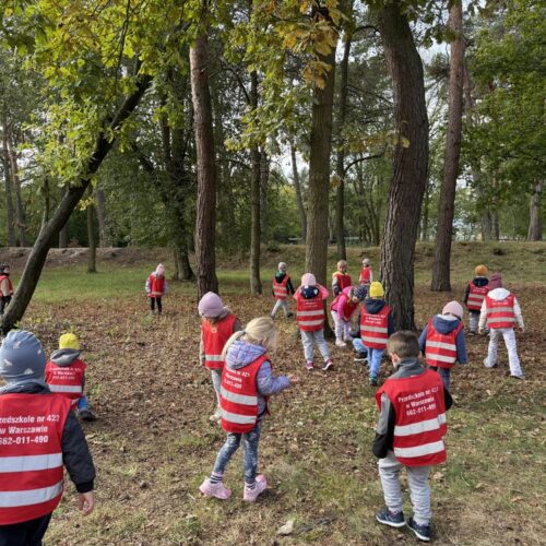 obraz-20251006-080204-cd8ab102