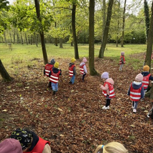 obraz-20251006-080712-2141a22a