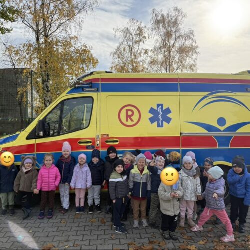 obraz-20251030-091825-d3b243b3