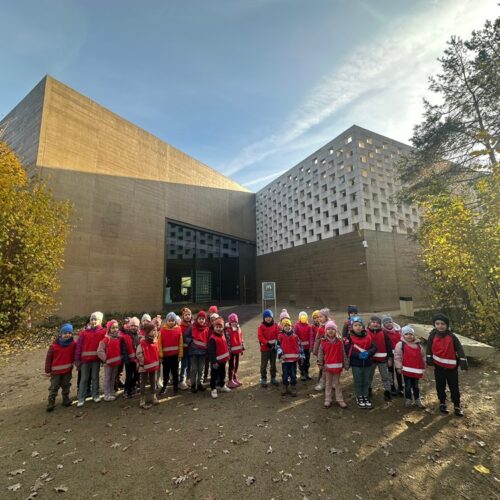 sówki i pszczółki