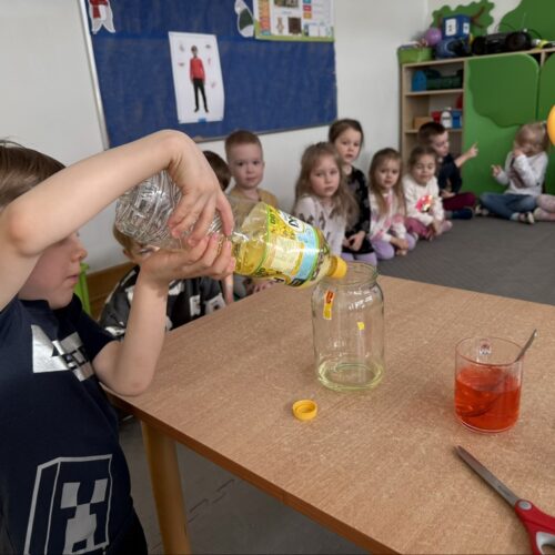 obraz-20260211-120632-f396f738