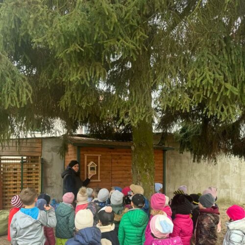 tmp_1774876154348-767563-6713